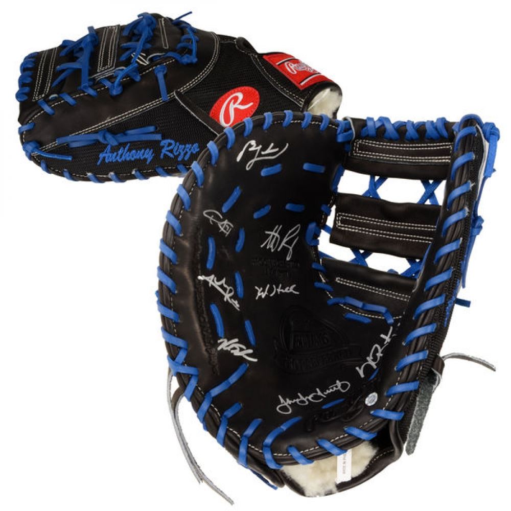 2016 Cubs World Series Champions 