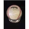 Image 2 : Multi Signed Baseball W/ Rick Stelmaszek, Roy Smith & More...