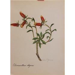 Hand Signed 1961 Litho Helen O'Gorman
