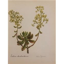Hand Signed 1961 Litho Helen O'Gorman