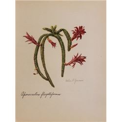 Hand Signed 1961 Litho Helen O'Gorman