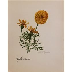 Vintage 1900's Lithograph