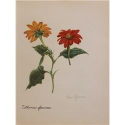 Vintage 1900s Lithograph