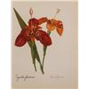 Image 1 : Vintage 1900s Lithograph
