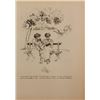 Image 1 : Vintage 1900s Lithograph