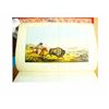 Image 18 : RARE BOOK A: McKenney & Hall "History of the Indian Tribes of North America" first edition , illustr