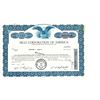 Image 1 : COLLECTIBLE CERTIFICATE: 500 shares of Hico Corporation of America stock registered owner name Berna