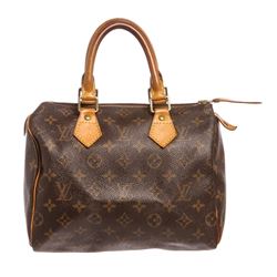 Louis Vuitton Monogram Canvas Leather Speedy 25 cm Bag