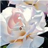 Image 2 : Two White Roses by Davis, Brian