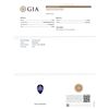 Image 6 : GIA Cert 8.25 ctw Tanzanite and Diamond Ring - 14KT White Gold