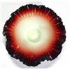 Image 1 : Ruby and white opaline glass dish with fri…