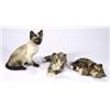 Image 1 : Three hand painted Winstanley cats with gl…