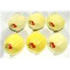 Image 1 : Set of six hand painted Crown Devon yellow…