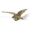 Image 1 : Cold painted bronze eagle, 26cm in length…