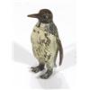 Image 1 : Cold painted bronze emperor penguin, 5cm h…