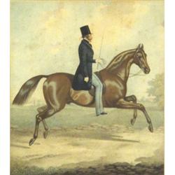 Well detailed watercolour of horse trottin…