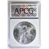 Image 4 : 2013 SILVER EAGLE, APCG PERFECT GEM BU