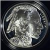 Image 1 : 2001 AMERICAN BUFFALO PROOF COMMEM DOLLAR