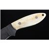 Image 4 : CFK Damascus Exotic Camel Bone Knife & Scabbard