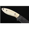 Image 5 : CFK Damascus Exotic Camel Bone Knife & Scabbard