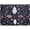 Image 9 : Native American Arrowhead Artifact Collection