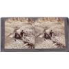 Image 8 : Yellowstone National Park Stereoview Set c.1904