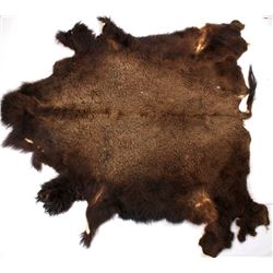 Wild Montana Trophy Buffalo Fur Hide