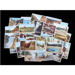 Yellowstone National Park Postcard Collection