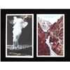 Image 2 : Yellowstone National Park Postcard Collection