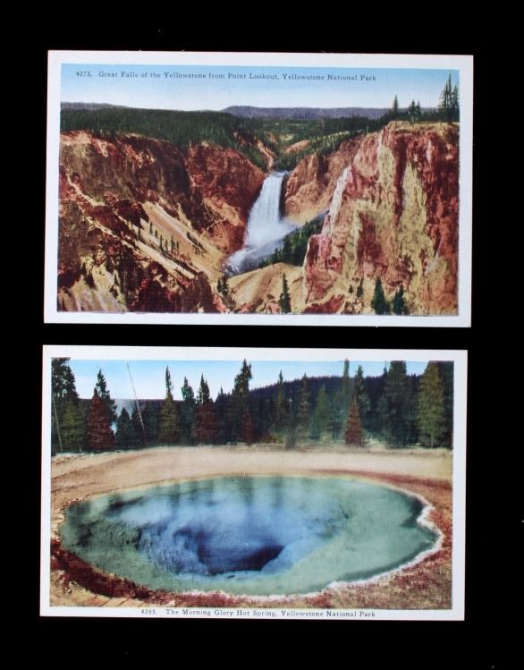 Yellowstone National Park Postcard Collection