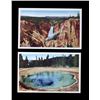 Image 5 : Yellowstone National Park Postcard Collection