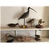 Image 1 : 7 Carved Shore Birds Collection