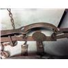 Image 7 : 17 Antique Steel Traps