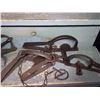 Image 9 : 22 Antique Steel Traps