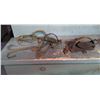 Image 10 : 22 Antique Steel Traps