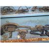 Image 7 : 22 Antique Steel Traps
