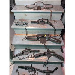 8 Medium Antique Steel Traps