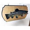 Image 1 : Brown Trout Taxidermy Mount