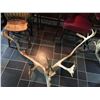 Image 2 : Moose Antlers