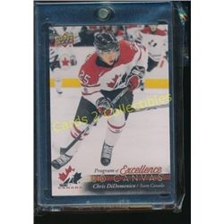 17-18 Upper Deck Canvas #C262 Chris DiDomenico POE