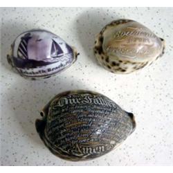 Etched Seashells