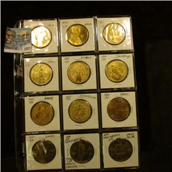 1027 _ 12-Piece Set of Emmetsburg, Iowa Sister City of Dublin, Ireland Irish Dollars. 1978-1989. All