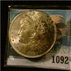 1092 _ 1921 P U.S. Morgan Silver Dollar. Superb Brilliant Uncirculated with attractive toning.