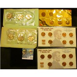 1713 _ 1979 & 1980 Susan B Anthony Three Dollar Souvenir Set Plus The 7 Varieties Of 1982 Memorial C