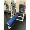Image 1 : PARAMOUNT WHITE / BLUE HORIZONTAL BENCH PRESS