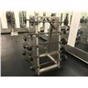 Image 2 : CHECKER PLATE 5-TEIR BARBELL STAND WITH ASSORTED BARBELLS