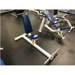 WHITE / BLUE INDUSTRIAL WEIGHT BENCH