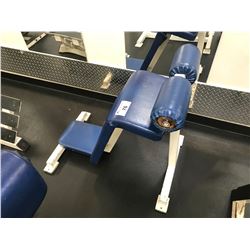 WHITE / BLUE INDUSTRIAL WEIGHT BENCH