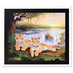 Tiger Falls by Rattenbury, Jon