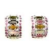 Image 1 : Natural Marquise Fancy Tourmaline & Ruby Earring